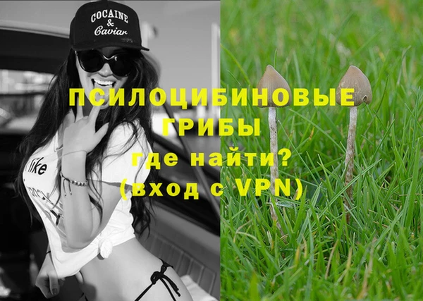 соль ск Щучье