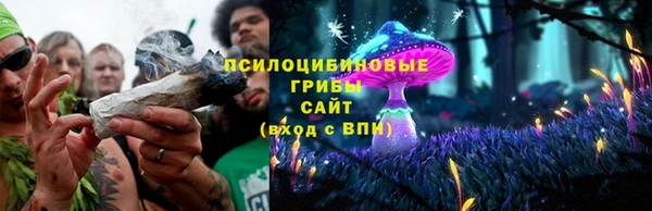 таблы Щигры