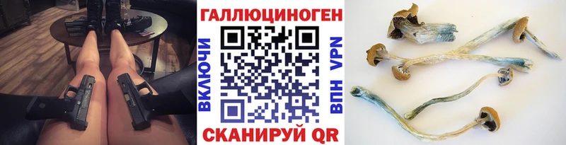 darknet Telegram Псков Псилоцибиновые грибы MAGIC MUSHROOMS